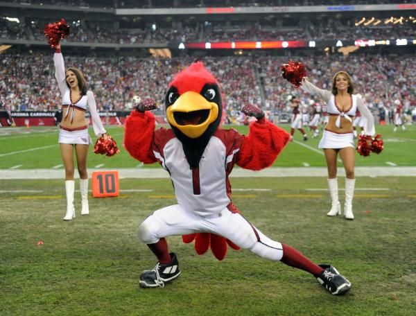 Arizona Cardinals mascot, Big Red